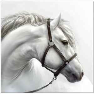Wall Art White Horse
