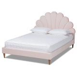 Odille Modern Glam Light Pink Velvet Upholstered Walnut Brown Finished Wood Queen Size Seashell Shaped Platform Bed