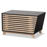 Eckhart Modern and Contemporary Two-Tone and Oak Finished Wood Cat Litter Box Cover House