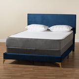 Abberton Modern and Contemporary Navy Blue Velvet and Gold Metal Queen Size Panel Bed