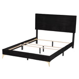 Abberton Modern and Contemporary Black Velvet and Gold Metal Queen Size Panel Bed