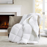 Signature Modern/Contemporary 100% Cotton Comforter