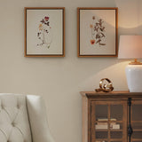 French Herbarium Transitional 2Pc Set 16X20 Framed Linen Canavs