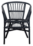 Adriana Rattan Accent Chair - Set of 2