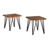 Zion Outdoor Industrial Rustic Finshed Iron and Teak Finished Acacia Wood Accent Table (Set of 2)