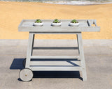 Safavieh Renzo Bar Cart Indoor Outdoor Grey Wash Silver Eucalyptus Wood Galvanized Steel PAT7032B 889048319288