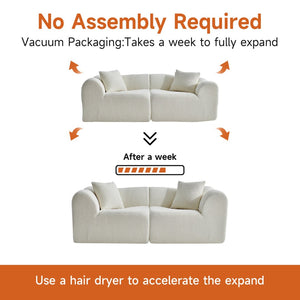 English Elm Modern Velvet Two Seat Loveseat with Pillows Compact Upholstered Sofa for Apartment Beige W1765P349639