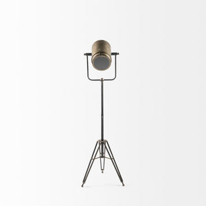 Mercana Debdou Adjustable Cinema-Style Floor Lamp with Sleek Stem and Sturdy Collapsible Base for Any Space Gold Metal 65134