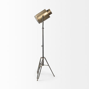 Mercana Debdou Adjustable Cinema-Style Floor Lamp with Sleek Stem and Sturdy Collapsible Base for Any Space Gold Metal 65134