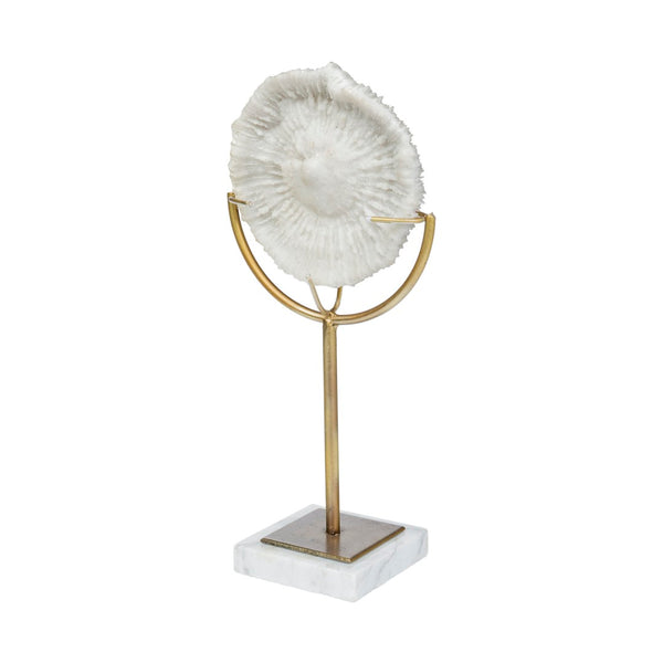 Mercana Sandy Coastal Sand Dollar Object - Elegant Sculptural Decor with Gold Accents for Chic Interiors White Resin | 15H 67984