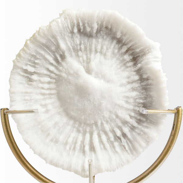 Mercana Sandy Coastal Sand Dollar Object - Elegant Sculptural Decor with Gold Accents for Chic Interiors White Resin | 15H 67984