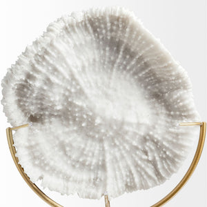 Mercana Sandy Coastal Sand Dollar Object - Elegant Sculptural Decor with Gold Accents for Chic Interiors White Resin | 11H 67982