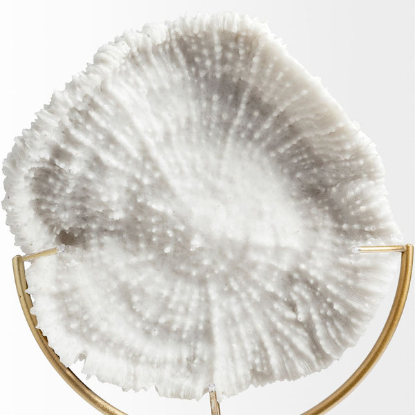 Mercana Sandy Coastal Sand Dollar Object - Elegant Sculptural Decor with Gold Accents for Chic Interiors White Resin | 11H 67982