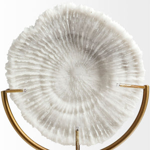Mercana Sandy Coastal Sand Dollar Object - Elegant Sculptural Decor with Gold Accents for Chic Interiors White Resin | 12H 67983