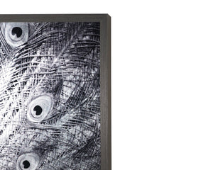 Sunpan COURTSHIP - 48" Charcoal Framed Peacock Art - Luxe Vintage Elegance for Living Spaces & Offices A0261
