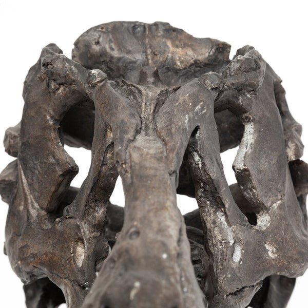 Mercana Lagrane Tyrannosaurus Rex Skull Replica - Stunning Fossilized Décor for Unique Themed Spaces Brown Resin | 12H 67025
