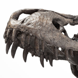 Mercana Lagrane Tyrannosaurus Rex Skull Replica - Stunning Fossilized Décor for Unique Themed Spaces Brown Resin | 12H 67025