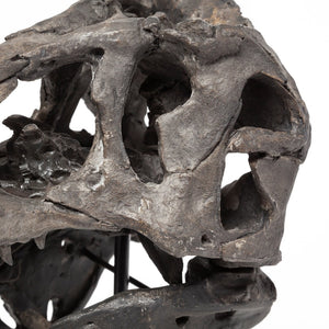 Mercana Lagrane Tyrannosaurus Rex Skull Replica - Stunning Fossilized Décor for Unique Themed Spaces Brown Resin | 12H 67025
