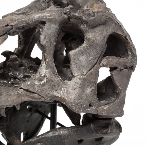 Mercana Lagrane Tyrannosaurus Rex Skull Replica - Stunning Fossilized Décor for Unique Themed Spaces Brown Resin | 12H 67025