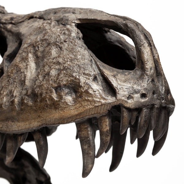 Mercana Lagrane Tyrannosaurus Rex Skull Replica - Stunning Fossilized Décor for Unique Themed Spaces Brown Resin | 20H 57430
