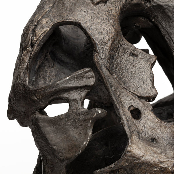Mercana Lagrane Tyrannosaurus Rex Skull Replica - Stunning Fossilized Décor for Unique Themed Spaces Brown Resin | 20H 57430