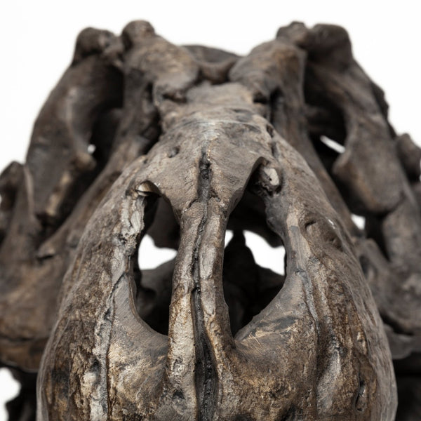 Mercana Lagrane Tyrannosaurus Rex Skull Replica - Stunning Fossilized Décor for Unique Themed Spaces Brown Resin | 20H 57430