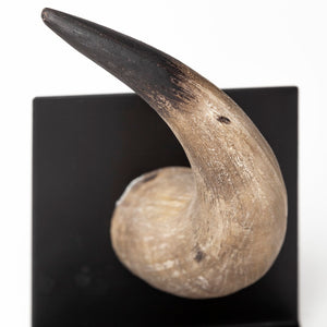 Mercana Nickerson Sculptural Bull Horn Bookends Set of 2 – Modern Desert Decor for Shelves and Desks 57871