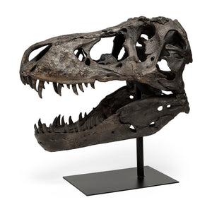 Mercana Lagrane Tyrannosaurus Rex Skull Replica - Stunning Fossilized Décor for Unique Themed Spaces Brown Resin | 20H 57430