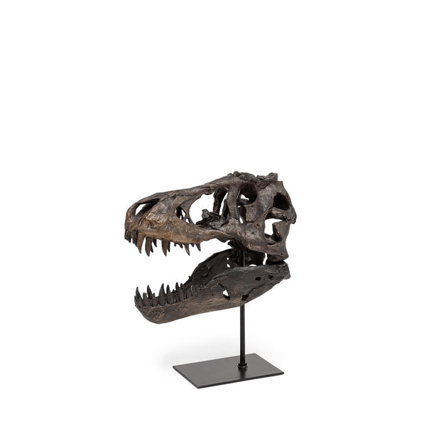 Mercana Lagrane Tyrannosaurus Rex Skull Replica - Stunning Fossilized Décor for Unique Themed Spaces Brown Resin | 12H 67025