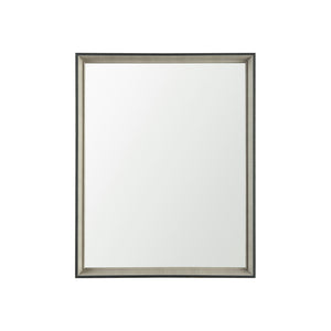 Mercana Black and Gray Framed 24x30  Bathroom Vanity Mirror MIR-D197-P2430SP