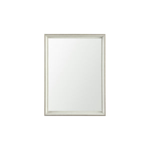 Mercana Grey Framed 18x24  Bathroom Vanity Mirror MIR-D198-P1824SP