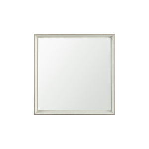 Mercana Grey Framed 24x24  Bathroom Vanity Mirror MIR-D198-P2424SP