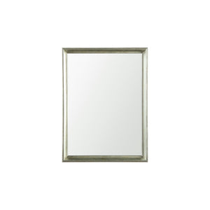 Mercana Silver Framed 18x24  Bathroom Vanity Mirror MIR-D201-P1824SP