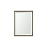 Pewter and Ant. Champagne Framed 18x24 Beveled Bathroom Vanity Mirror