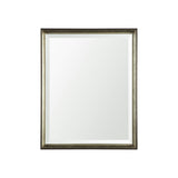 Pewter and Ant. Champagne Framed 24x30 Beveled Bathroom Vanity Mirror