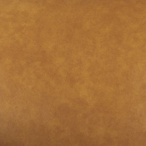 Mercana D'Arcy Mid-Century Modern 65-Inch Leather Sofa with Tailored Details and Luxe Comfort for Living Spaces 69643