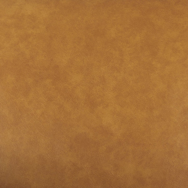 Mercana D'Arcy Mid-Century Modern 65-Inch Leather Sofa with Tailored Details and Luxe Comfort for Living Spaces 69643