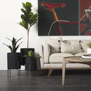 Mercana Brooks Three-Seater Sofa: Elegant Cream Upholstery with Sturdy Wood Legs for Cozy Living Spaces Cream Fabric | Brown Wood 69620