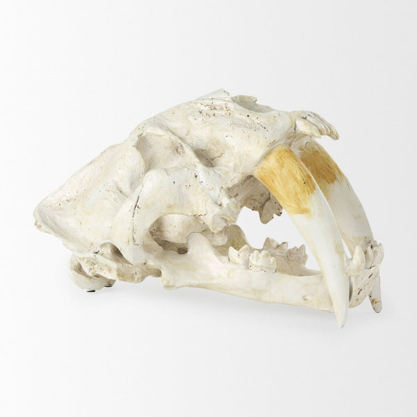 Mercana Fozzil Sabretooth Skull Replica - Stunning Natural Bone Finish for Eye-Catching Home Decor Accent 57425