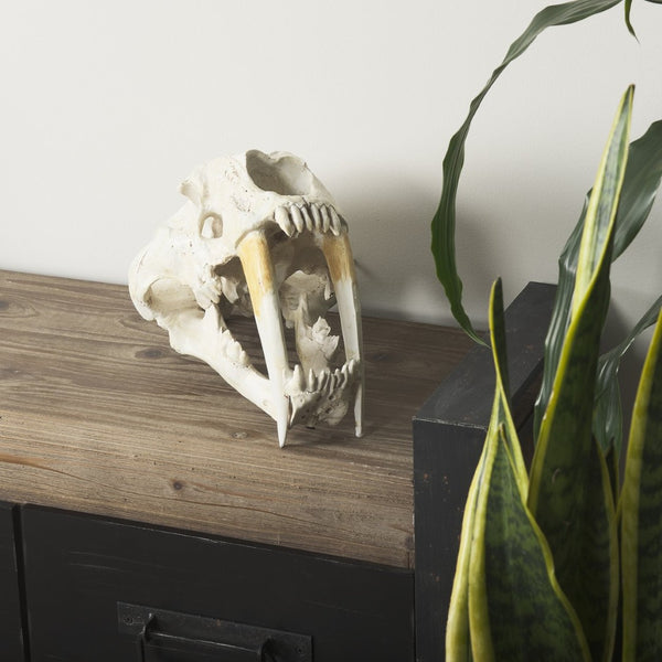 Mercana Fozzil Sabretooth Skull Replica - Stunning Natural Bone Finish for Eye-Catching Home Decor Accent 57425