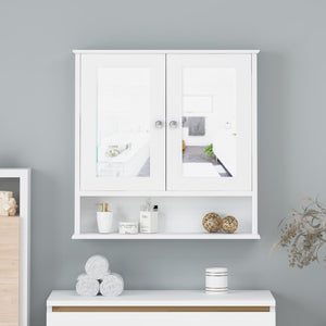 Christopher Knight Home® - Noble House - Haswell Modern 2 Door Medicine Cabinet with Mirrors