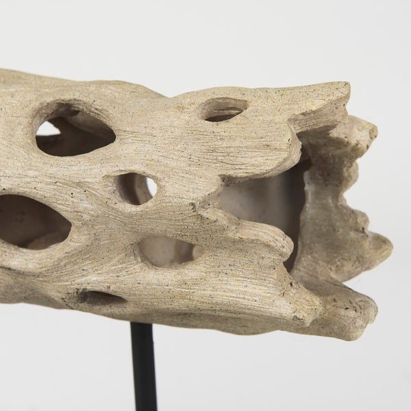 Mercana Dwell Cholla Wood Resin Decorative Object - Organic Elegance for Modern Home Décor and Display Small 70183