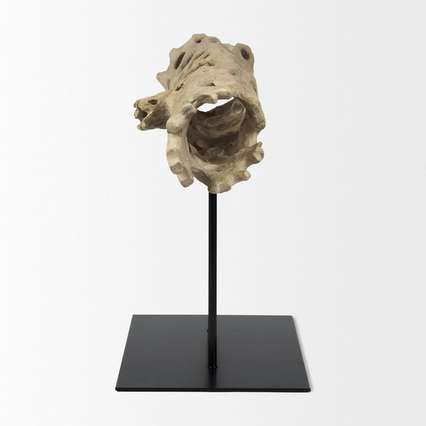 Mercana Dwell Cholla Wood Resin Decorative Object - Organic Elegance for Modern Home Décor and Display Large 70184