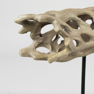 Mercana Dwell Cholla Wood Resin Decorative Object - Organic Elegance for Modern Home Décor and Display Large 70184