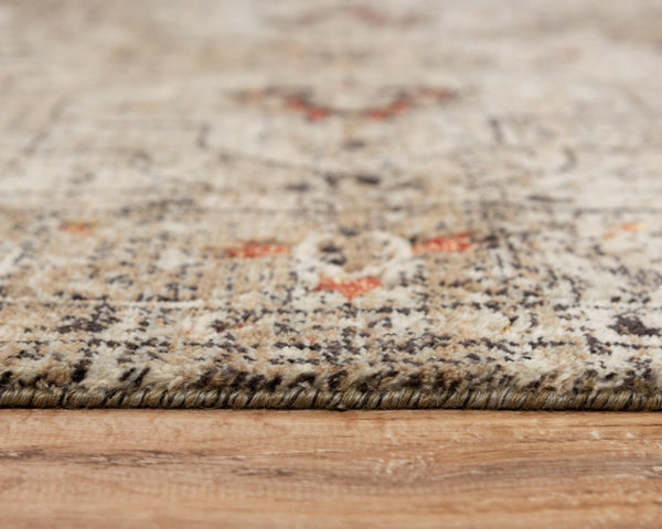 Alora Decor Alure Plush Transitional Medallion Rug In Neutral Rust & Apricot Tones, Hand Sheared Wool Blend 10' x 13' 00900910900300113