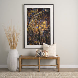 Mercana Shane Hand-Finished Wood & Woven Leather Bench – Timeless Craftsmanship for Any Space 70800