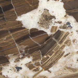 Mercana Jovia Round Coffee Table with Mango Wood Base and Unique Marble Top for Stylish Living Spaces 71122-AB