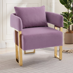 English Elm TS Modern decorative chair Lilac - Teddy fleece velvet 2PCs, gold legs, ergonomic sponge comfort, chic W2311P333677