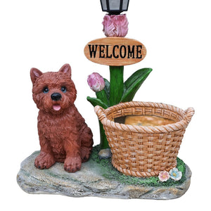 English Elm Labrador Solar Garden Statue with Led Glow and Built-in Succulent Planter Basin W5398P464248