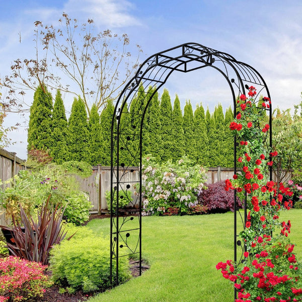 English Elm Metal Garden Arch Powder Coated Steel Trellis for Climbing Roses Outdoor Weddings Black W1586P268772